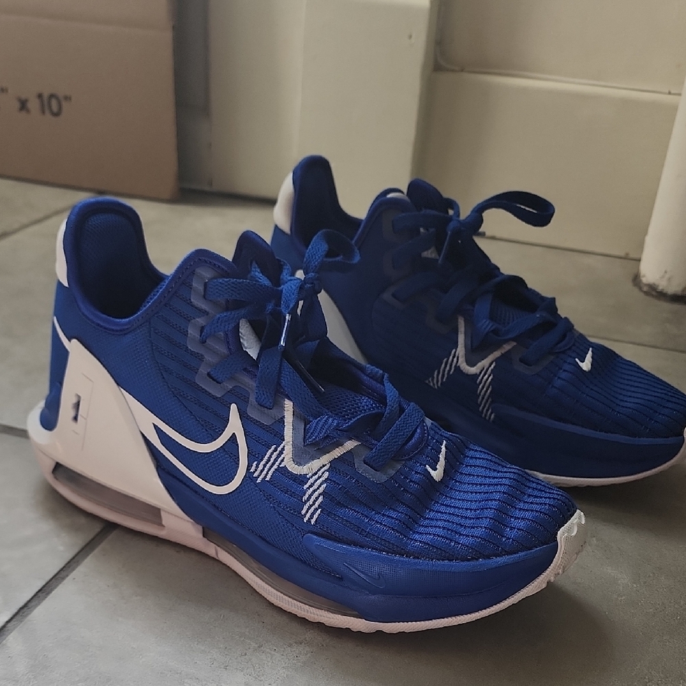 NIKE LEBRON WITNESS VI 6 TB GAME ROYAL BLUE-WHITE Size 7.5 [DO9843-401]